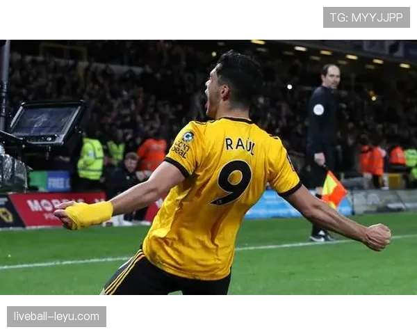 挪威队剑指世界杯淘汰赛：状态回升引期待