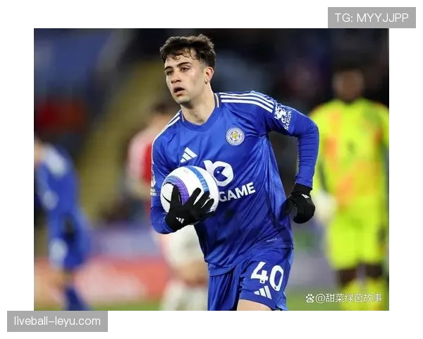 亚历山大·米特罗维奇英超赛季表现抢眼，未来前景被广泛看好