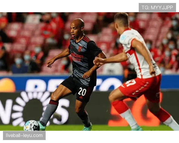 勒沃库森战术解析：灵活布局与快速反击助力球队实力持续攀升